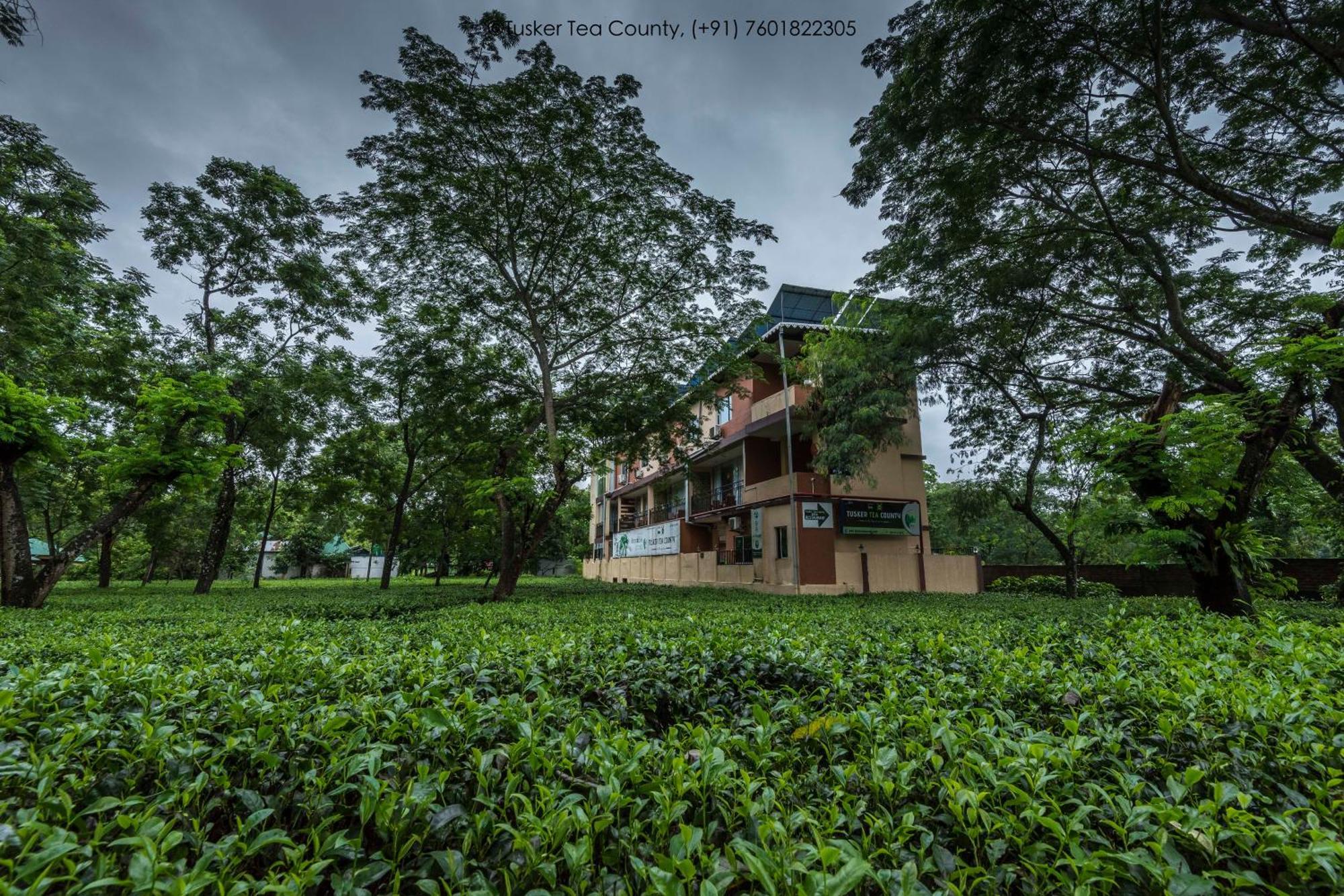 Hotel Tusker Tea County Chālsa Exterior foto